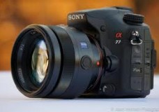 sonya77