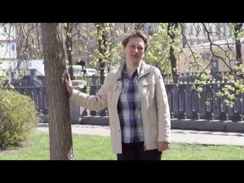 Видеосъемка для бизнеса. Курс для предпринимателей