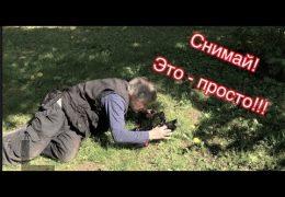 Курс «Практика режиссуры и видеосъемки» Съемка документального фильма
